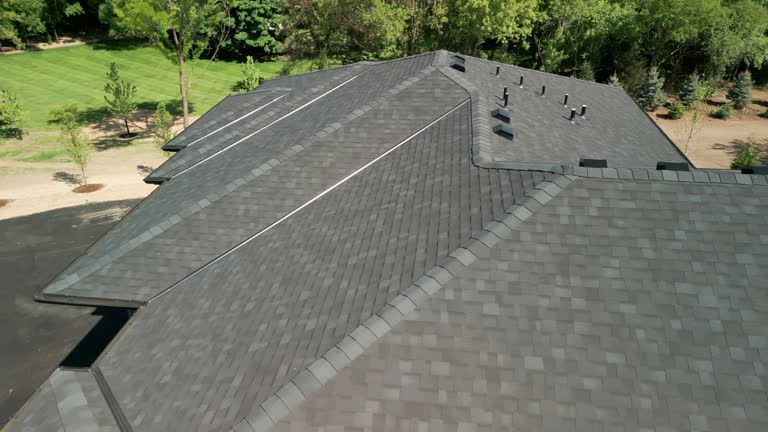 Best Solar Panel Roofing Installation  in Bastrop, TX